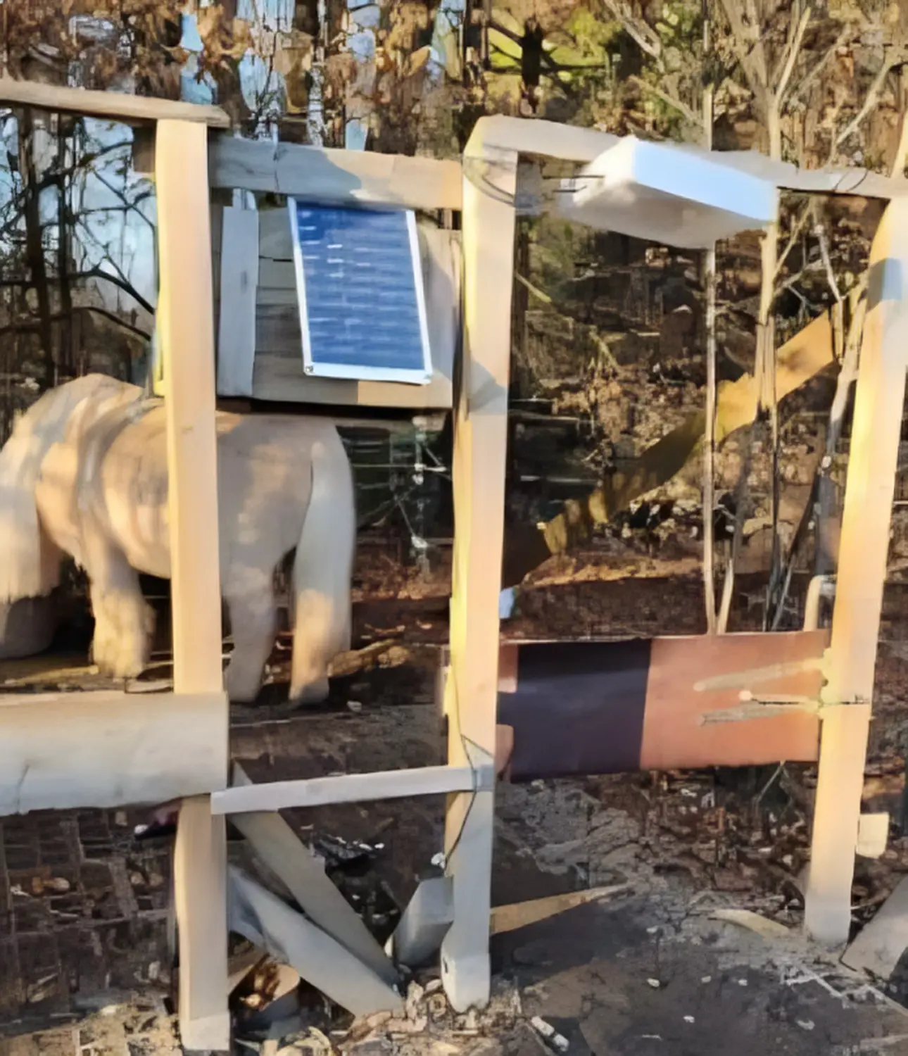 HorseChip - Stalltrakttore