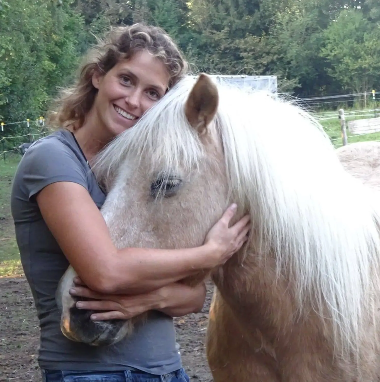 HorseChip - Das automatische Pferdetor - Ruth Wermes