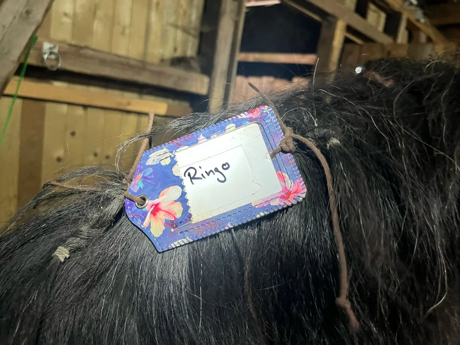 HorseChip - Pferdechip/-marke
