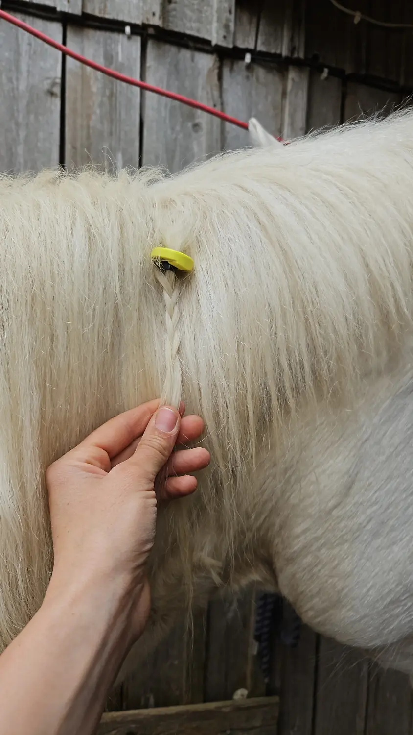 HorseChip - Pferdechip/-marke